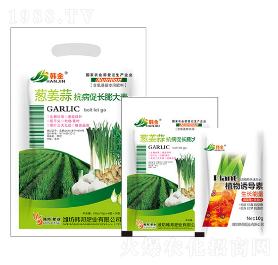 �[���⿹�����L�����-�n��-�n��ʘI(y��)