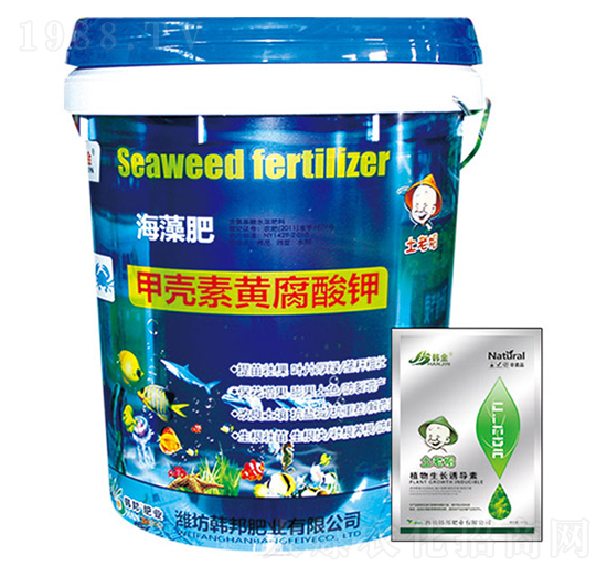 �ך����S����⛺����-�n��-�n��ʘI(y��)