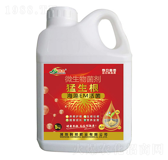 ΢�������-������-�n��-�n��ʘI(y��)