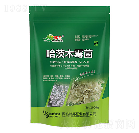 ����ľù��-�n��-�n��ʘI(y��)