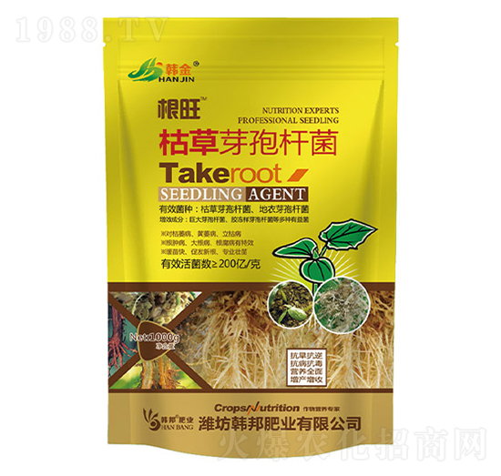 �ݲ�ѿ�ߗU��-����-�n��-�n��ʘI(y��)