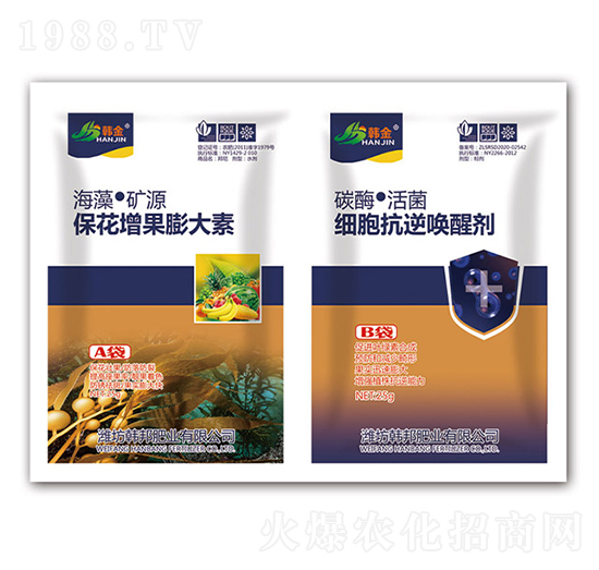 �������������-��(x��)�����憾�ф�-�n��-�n��ʘI(y��)