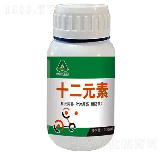 十二元素-愛爾法
