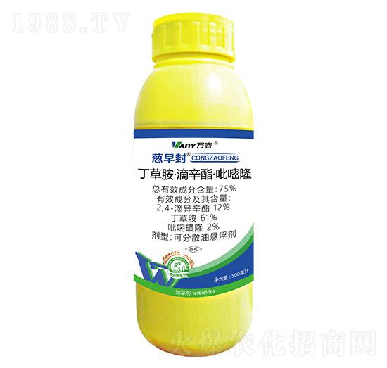 75%���ݰ���������������¡-�[���-�f��