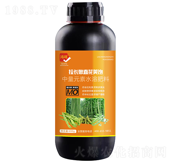 拉長(zhǎng)嫩直花莢飽-鴻鳴