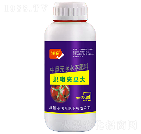 果帽亮又大-鴻鳴