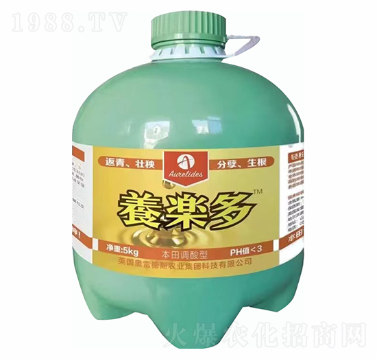 ���w����-�B(y��ng)��(l��)��-�W�׵�˹