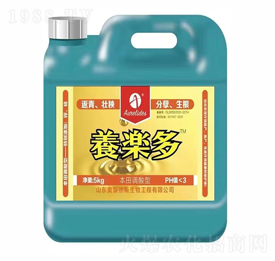 5kg���w����-�B(y��ng)��(l��)��-�W�׵�˹