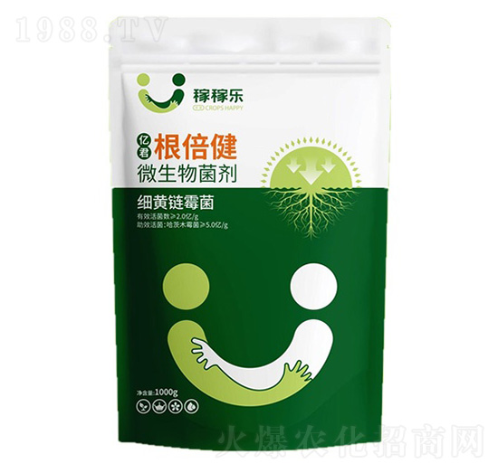 ΢�������-�|��������-�ڼژ�(l��)