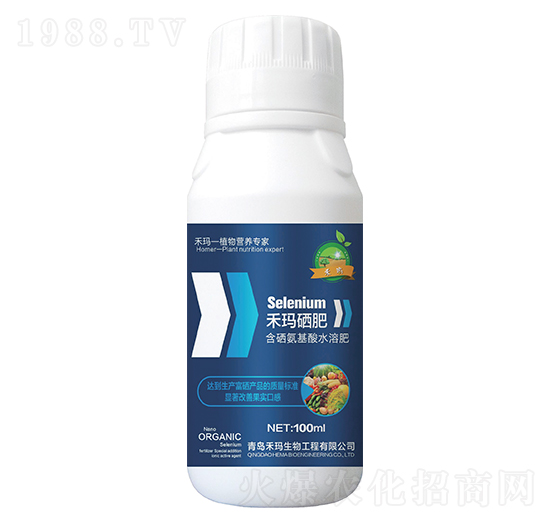 �̬�δ��֮������-�̬�����