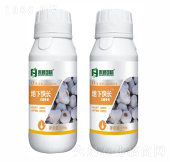 �����[���������~���-���¿��L-�̷f����