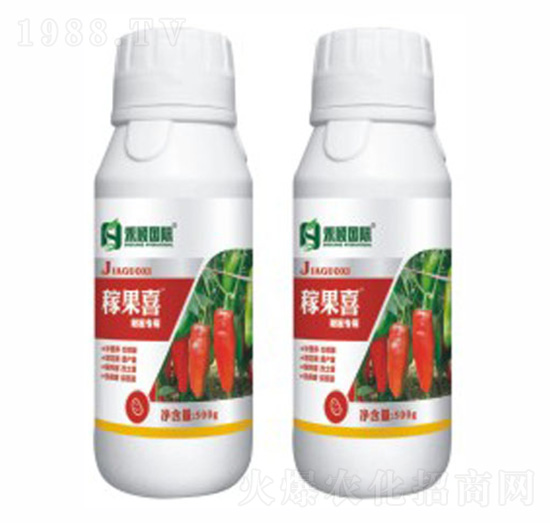 ���������~���-�ʼ���-�̷f����