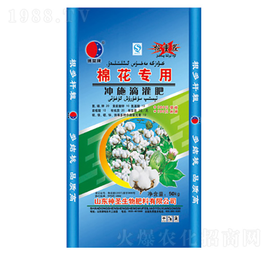 �޻����Û_ʩ�ι��-��ʥ����