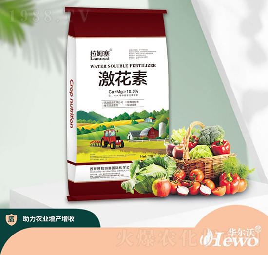 �����أ��t��-��ķ��-�A����