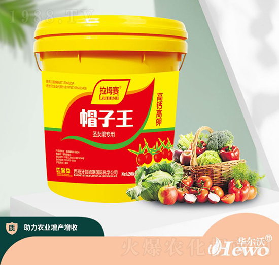 ʥŮ������-��ķ��-�A����