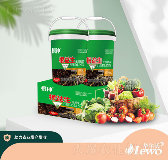 根益生生根壯苗-華爾沃