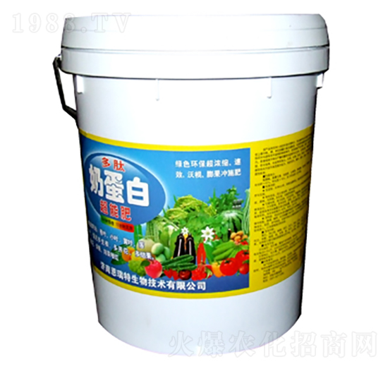 �����̵���-�|���S