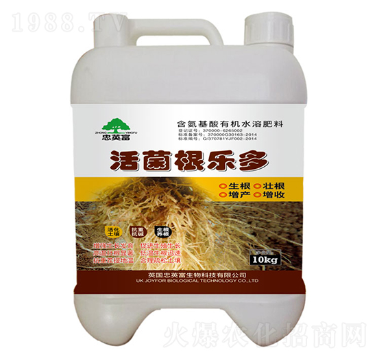 ���������-�|���S