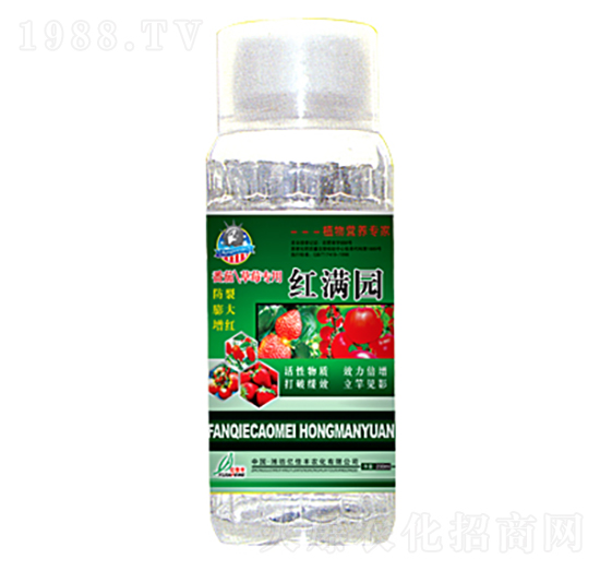 �t�M�@-�|���S