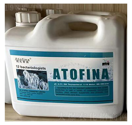 ʮ�����t(y��)-�ѷ�Ԫ