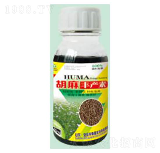 �����S�a(ch��n)��-��������