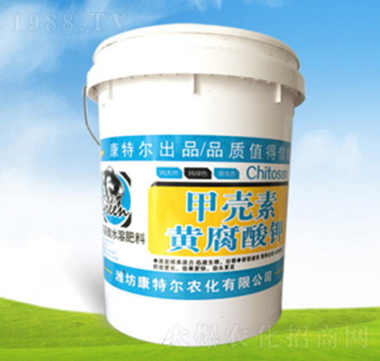 �ך����S�����-���ؠ��r��