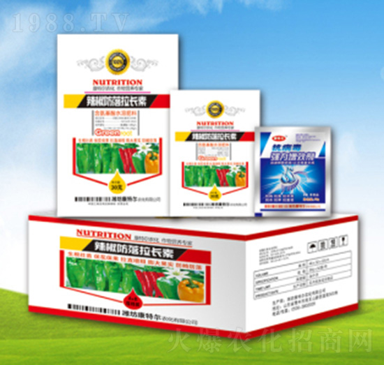 �����������L��-���ؠ��r(n��ng)��