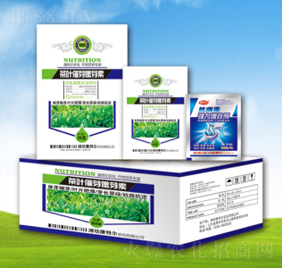 茶葉催芽嫩芽素-康特爾農(nóng)化