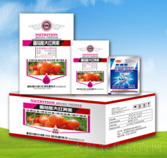 番茄膨大紅亮素-康特爾農(nóng)化