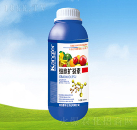 ��(x��)���U����-���ؠ��r(n��ng)��