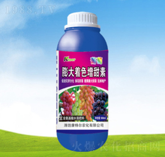 �����ɫ������-���ؠ��r(n��ng)��