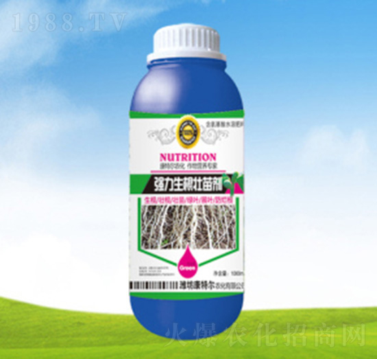 ƿ�b�����������焩-���ؠ��r��