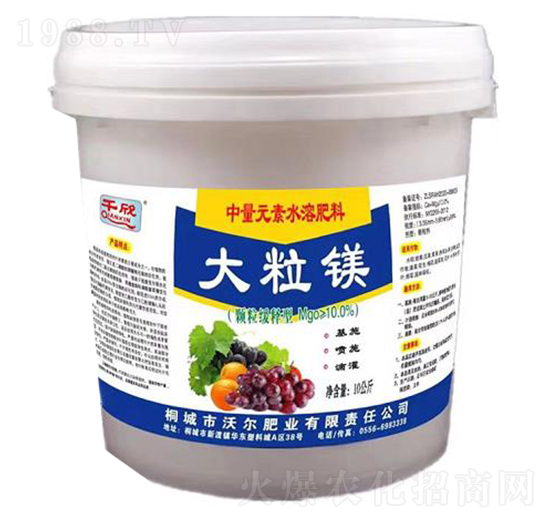 �����V-�֠��ʘI(y��)