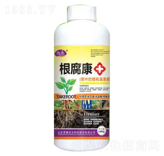 1000g�S�~�������缱��-������-�sҫ�r�I(y��)