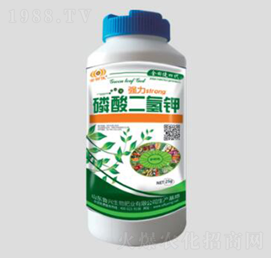 ��������-���d����