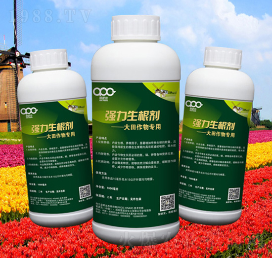 ��������������������ã�-���ɿ�