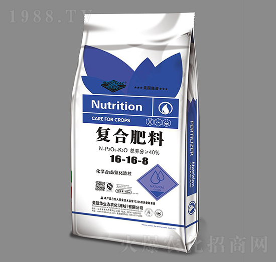 ���������ͺϷ���16-16-8-���P�A