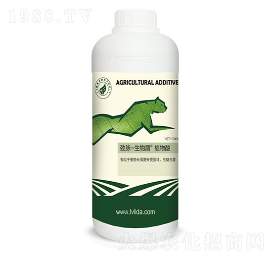 ֲ����-���}�����-�G���_(d��)