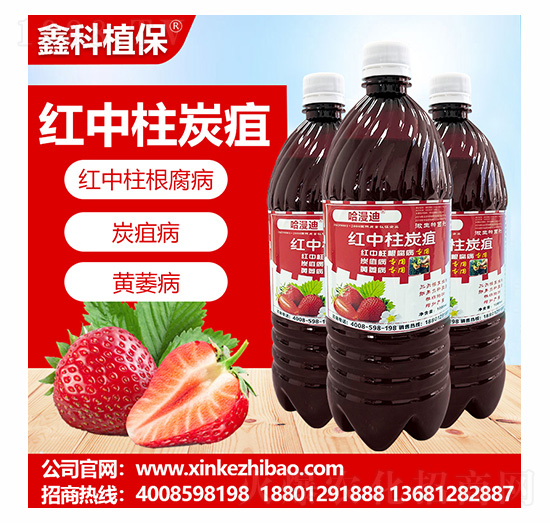 �t����̿���`-�ο�ֲ��