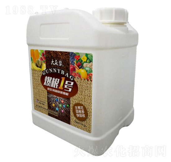 ����1̖(h��o)-�����-���v����