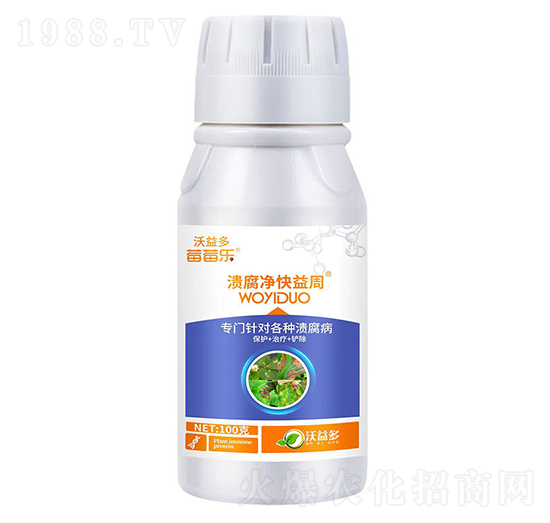 ������������-ݮݮ��-�����