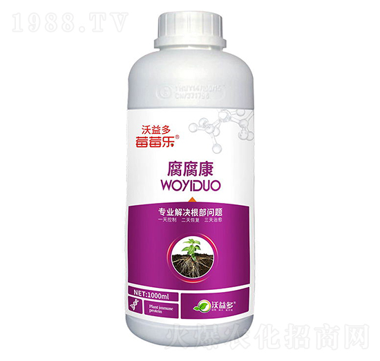 ������-ݮݮ��(l��)-�����