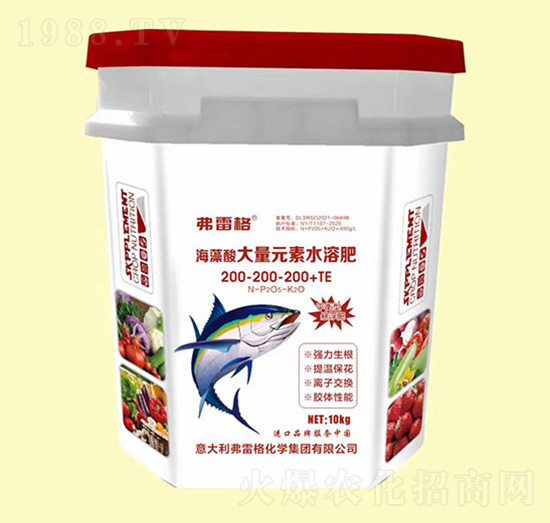 �������~(y��)����200-200-200+TE-���׸�