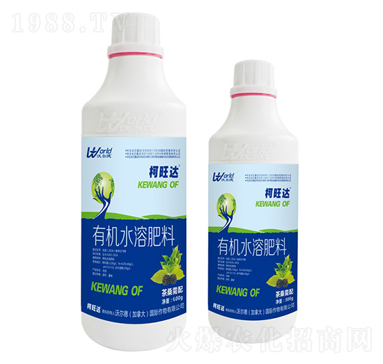 600g茶桑需配有機(jī)水溶肥-柯旺達(dá)-沃爾德農(nóng)業(yè)