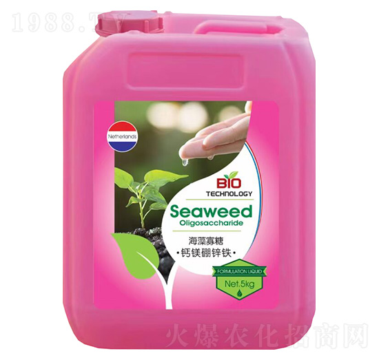 ������ǡ��}�V���\�F-���_��