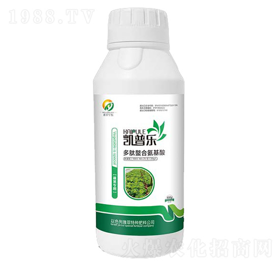 �߲ˌ��ö������ϰ�����-�P�՘�(l��)-�Ŵ�����