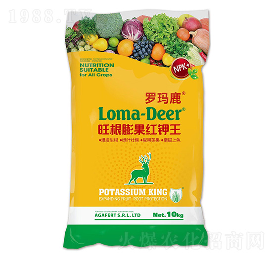 ��������t���-�_��¹-���L