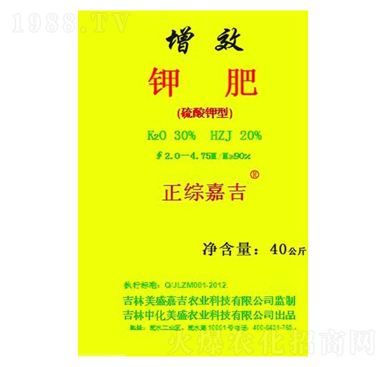 ��Ч⛷�-���C�μ�-��ʢ�μ�