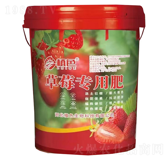 ��ݮ���÷�-ֲɫ����