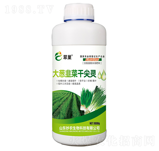 ���[�²˸ɼ��`-�䳲-���r(n��ng)����